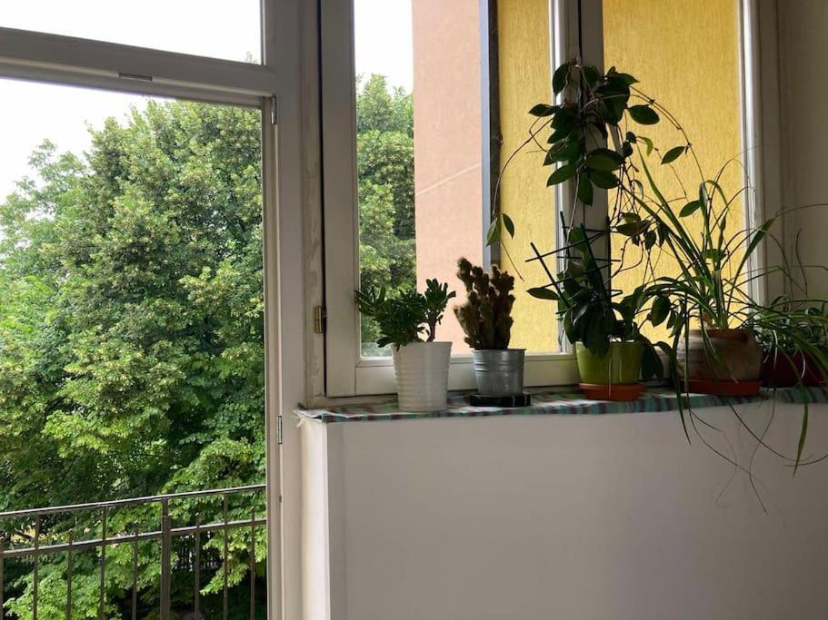 Oh Lola! Apartment Belgrade Exterior photo